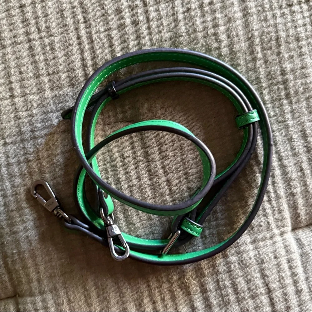 Longchamp LE PLIAGE XTRA XS POUCH in Green 🍀 - Picture 11 of 11